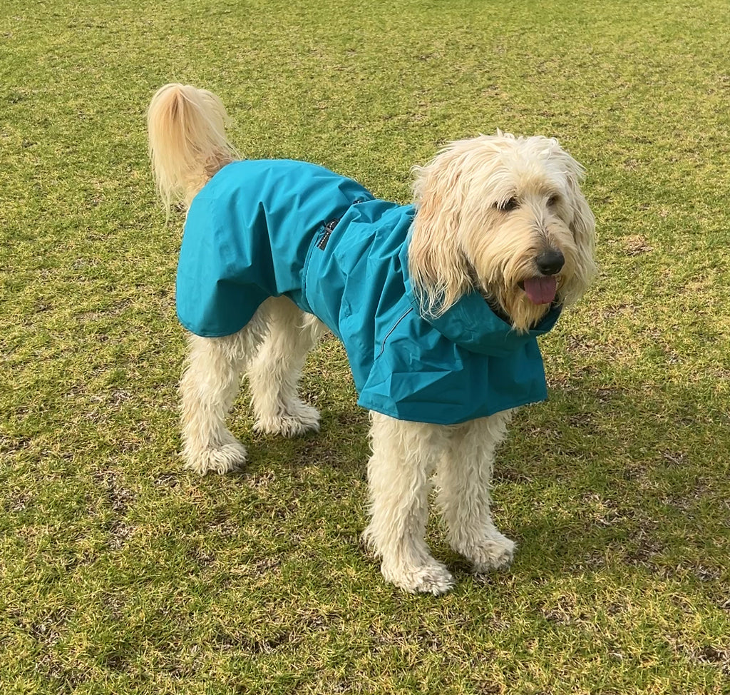 Raincoat for Dogs -SUPER