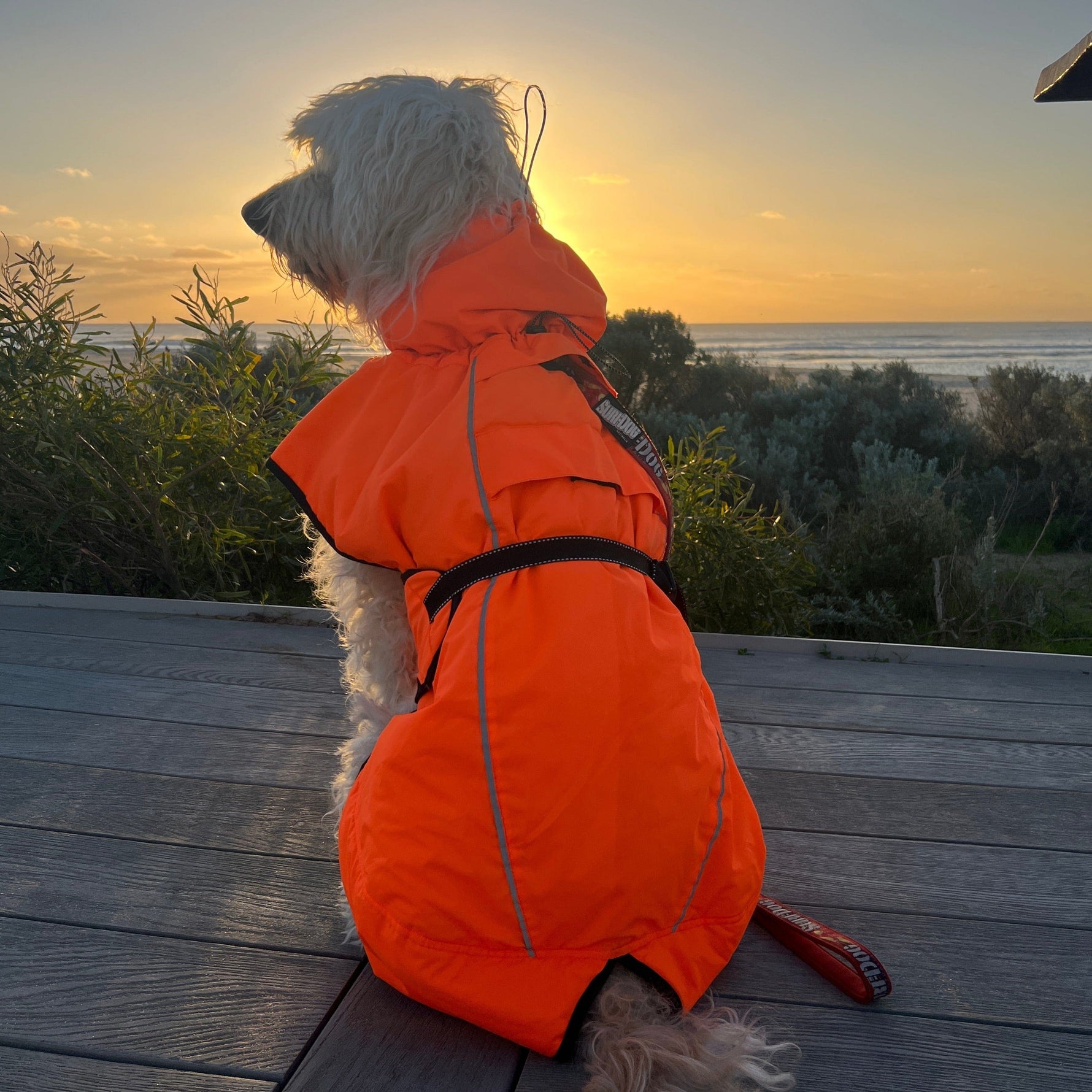 Surfdog Australia The Glow High Visibility warm coat