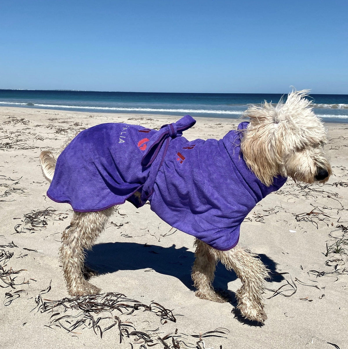 SurfDog Australia Dog Drying Coats