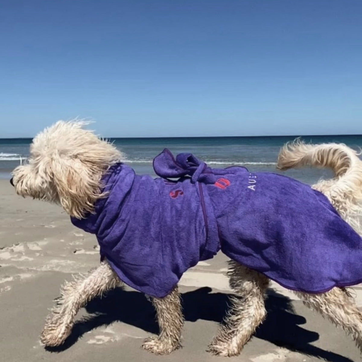 SurfDog Australia Dog Drying Coats