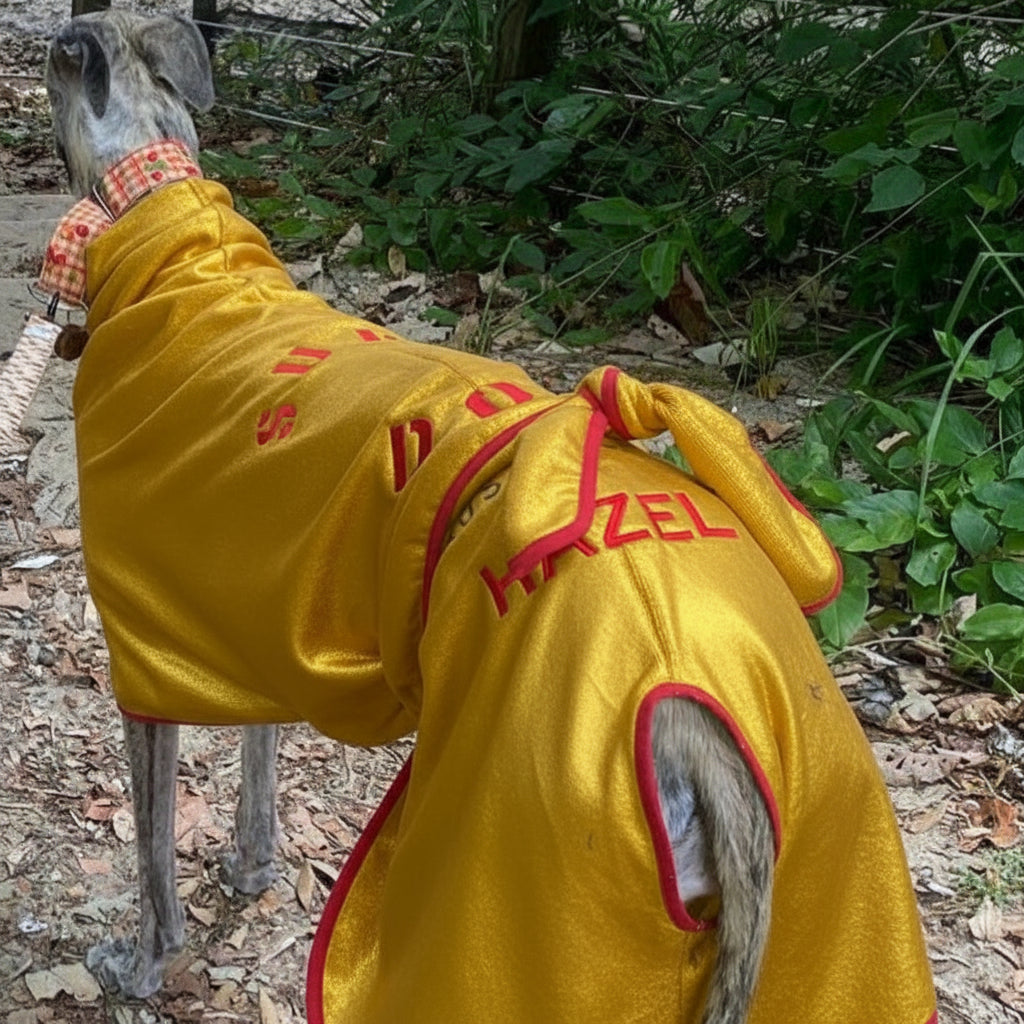 SurfDog Australia Size Greyhound. Back 65-80cm