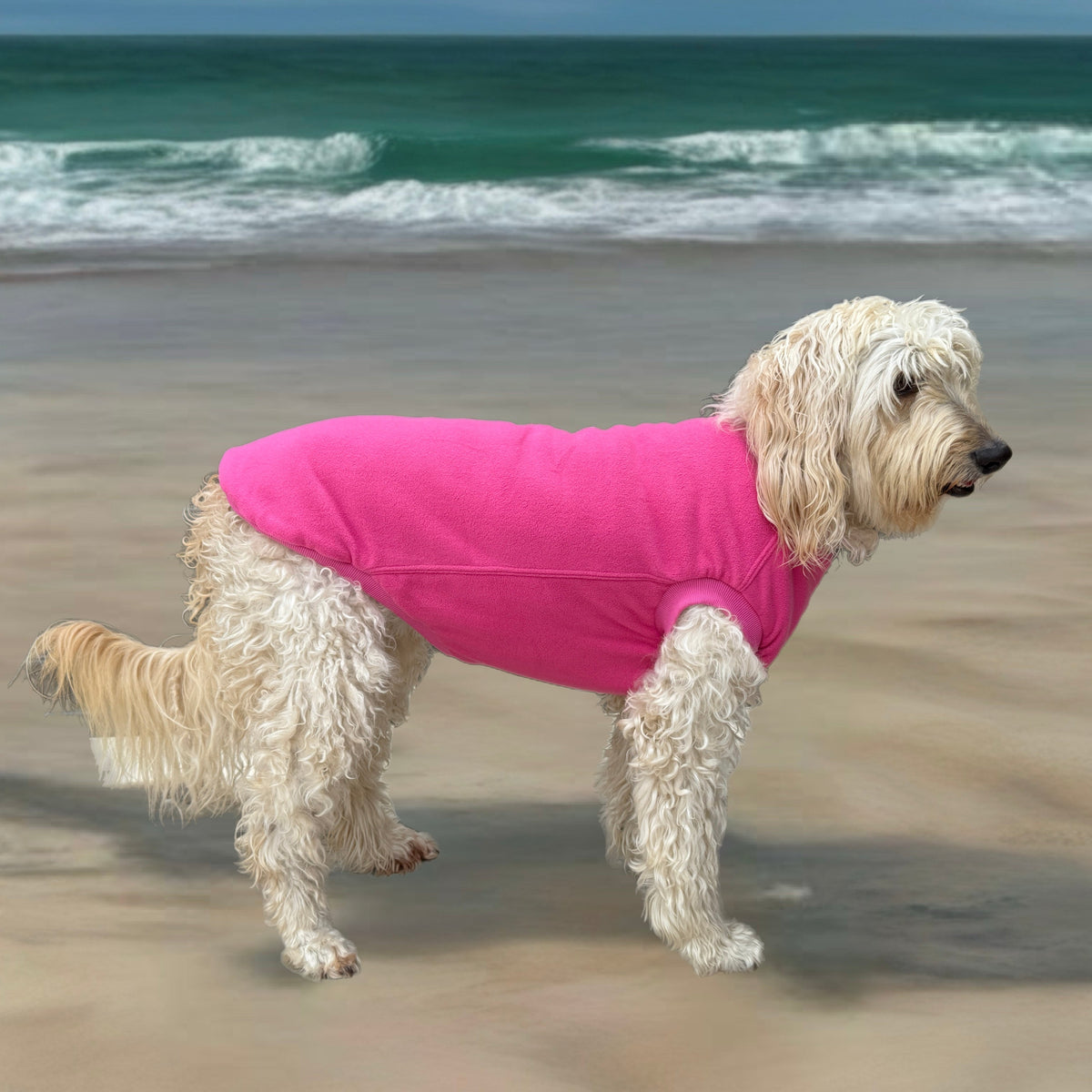Surfdog Australia Dog Jumpers - Singlet