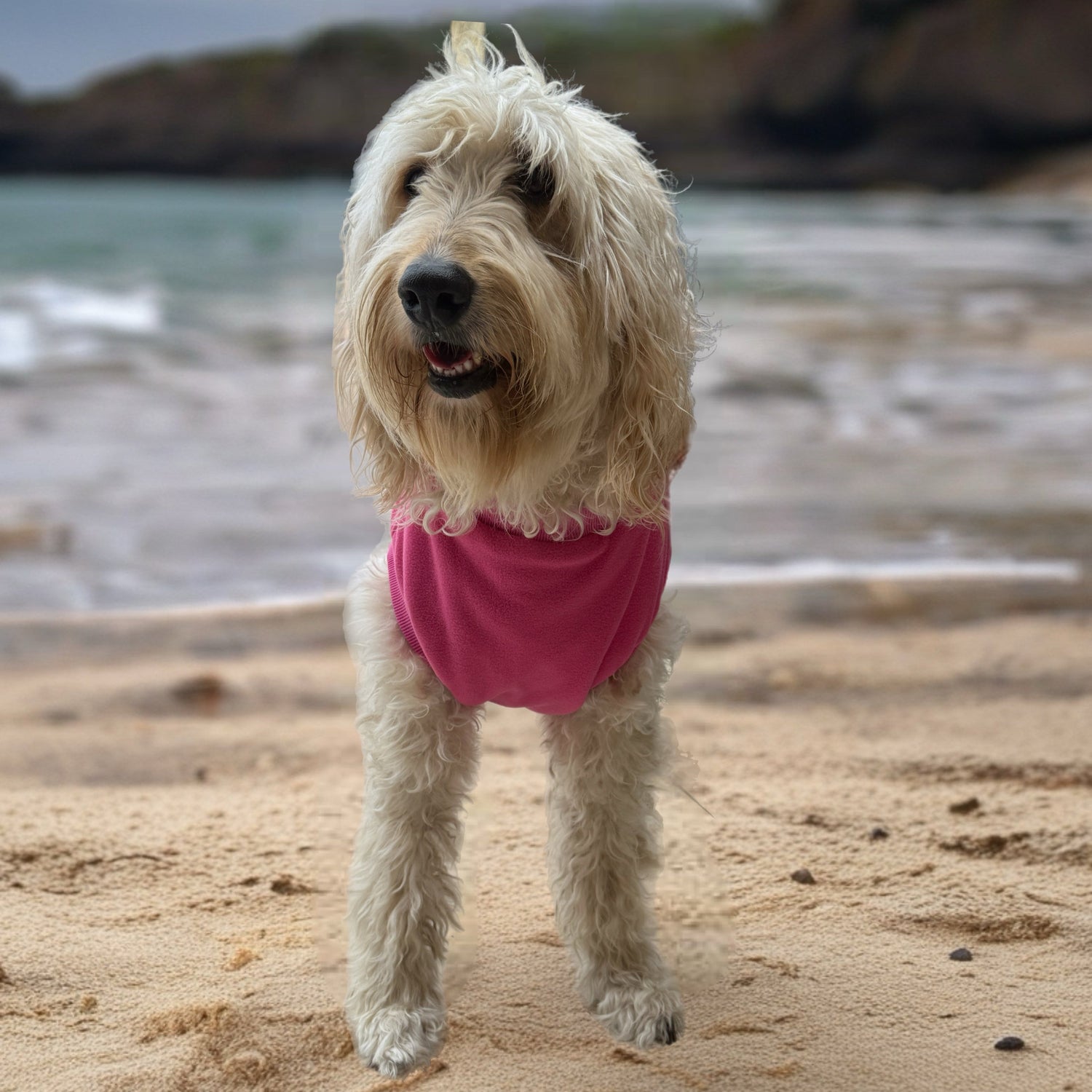 Surfdog Australia Dog Jumpers - Singlet