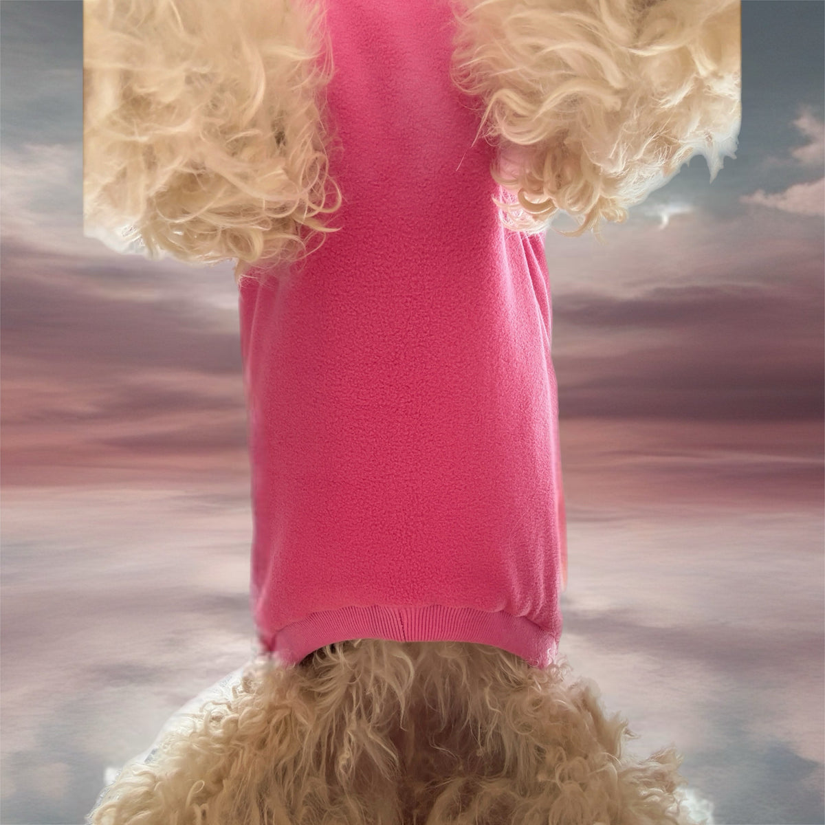 Surfdog Australia Dog Jumpers - Singlet