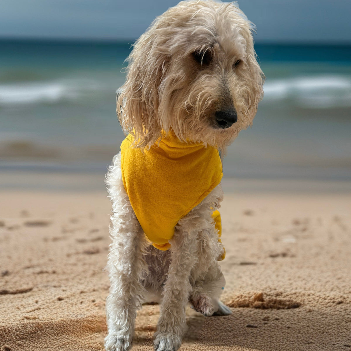 Surfdog Australia Dog Jumpers - Double Snuggle Turtle