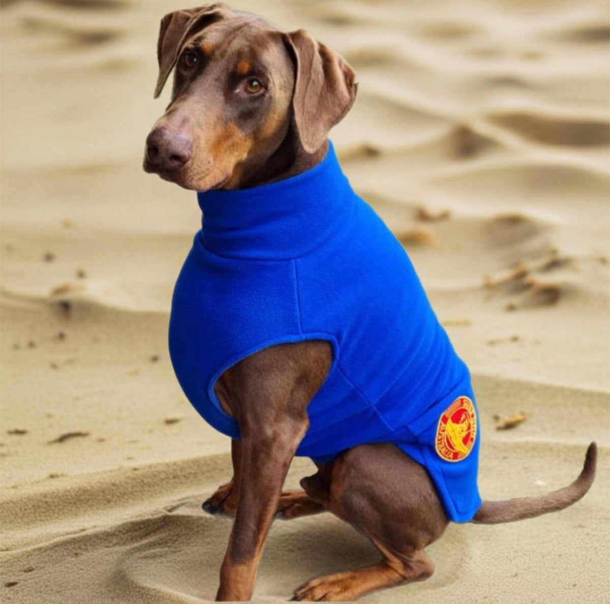 Surfdog Australia Dog Jumpers - Double Snuggle Turtle