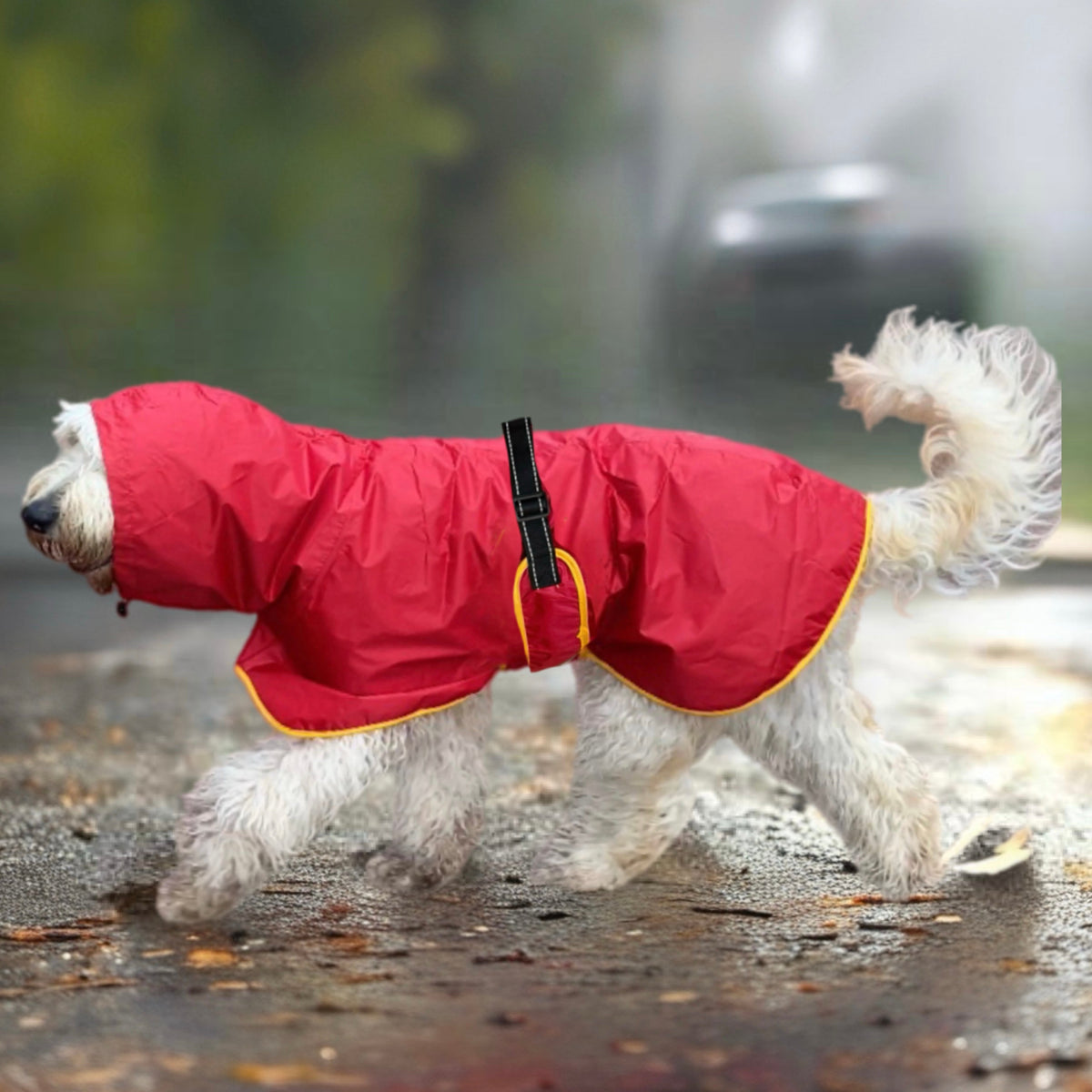 SurfDog Australia Raincoats for Dogs Free walk
