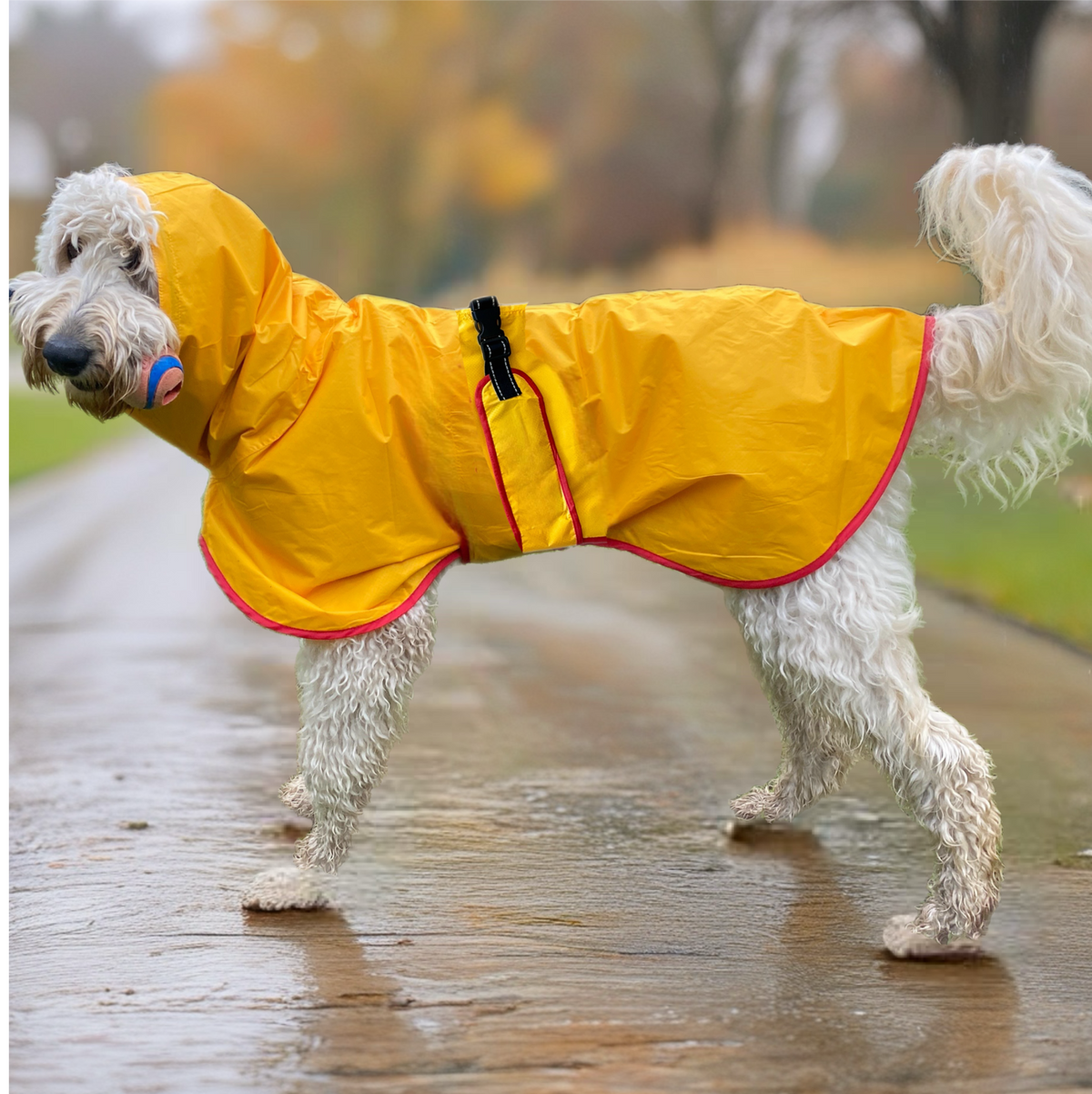 SurfDog Australia Raincoats for Dogs Free walk