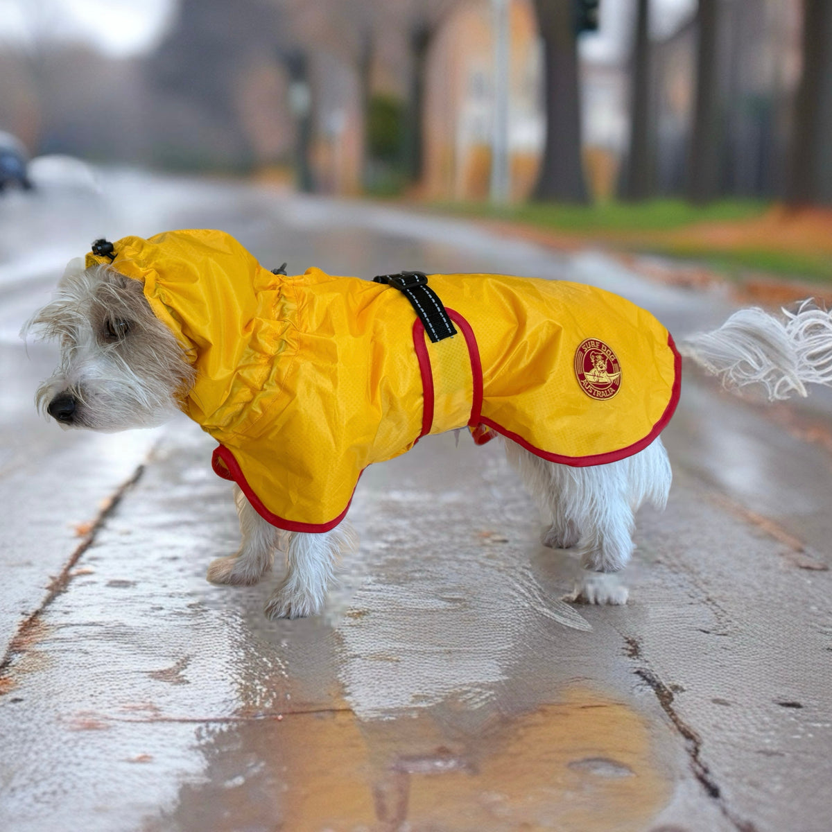 SurfDog Australia Raincoats for Dogs Free walk