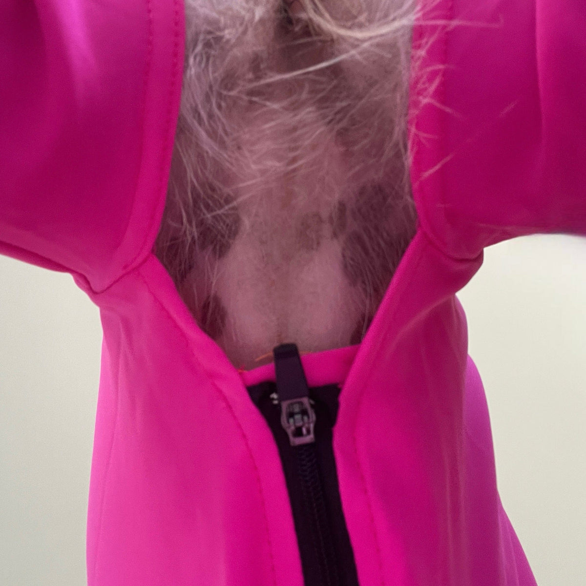 Surfdog Australia Dog Body Suit Surfdog Superfit