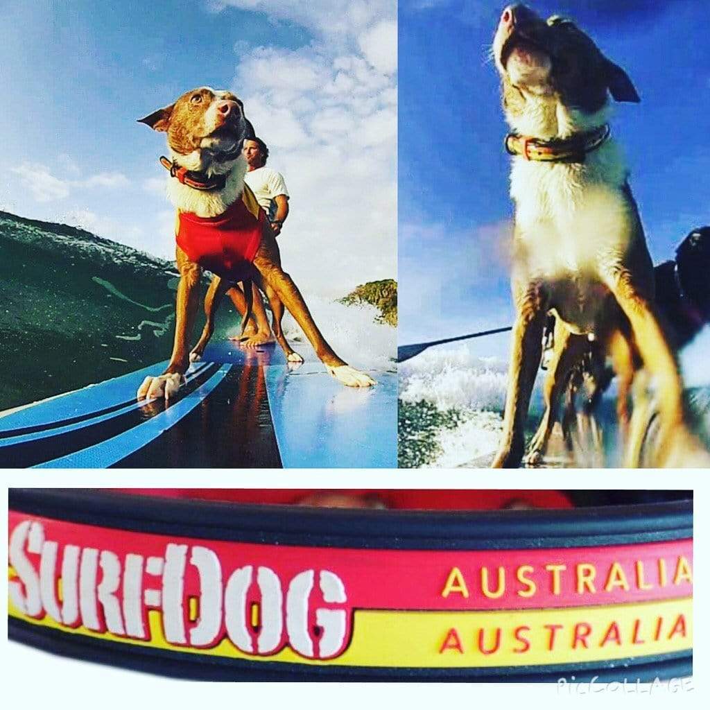 Surf Dog Australia Waterproof Collars