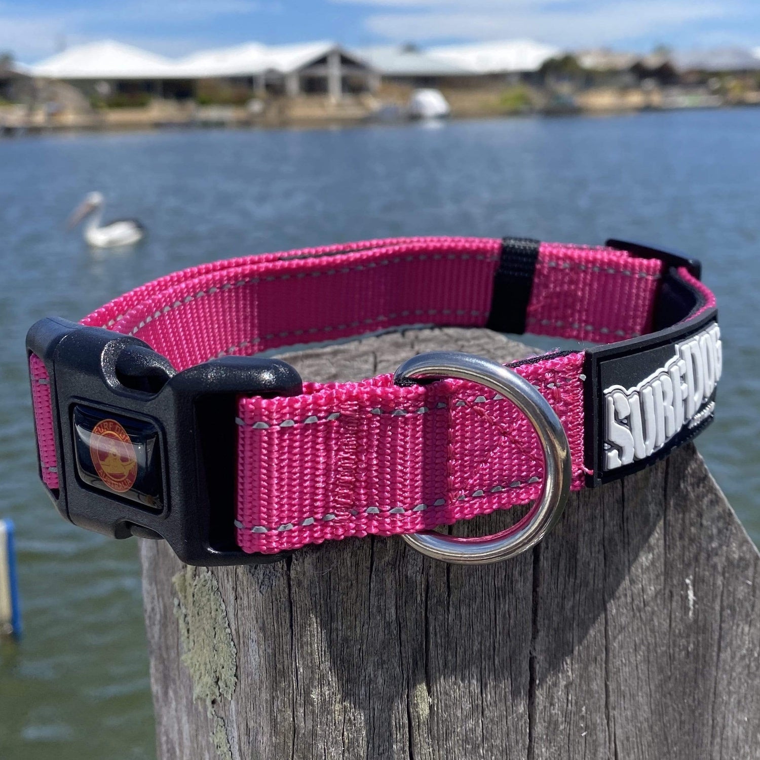 SurfDog Australia Summer Beach Collars and Leashes