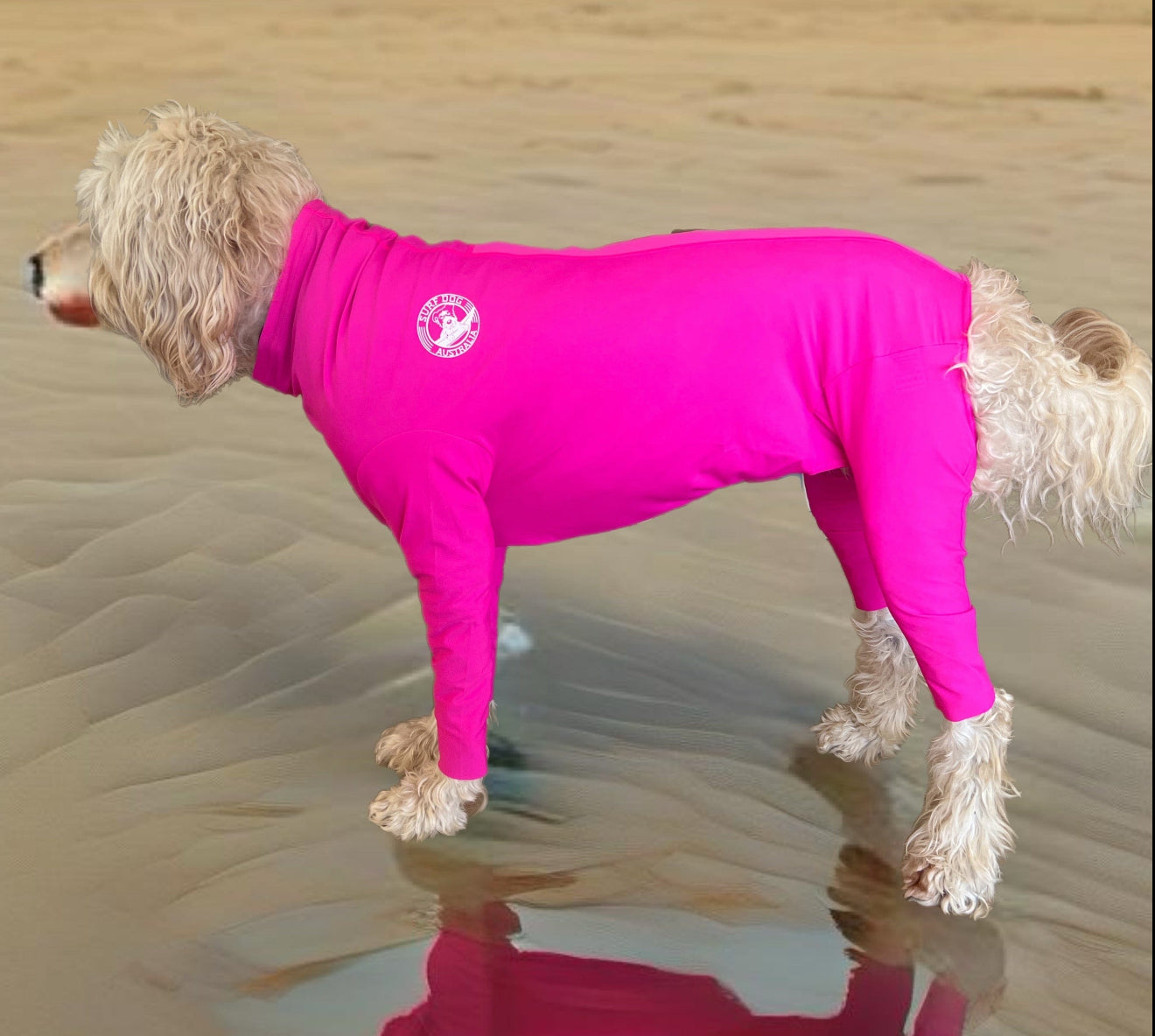 Dog Rashies, Dog Bodysuits