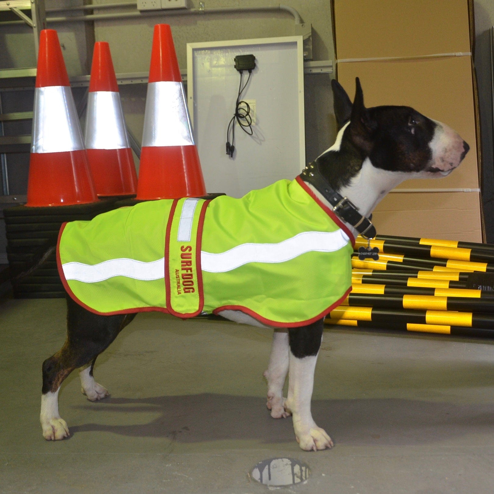 High Visibility Coats for dogs