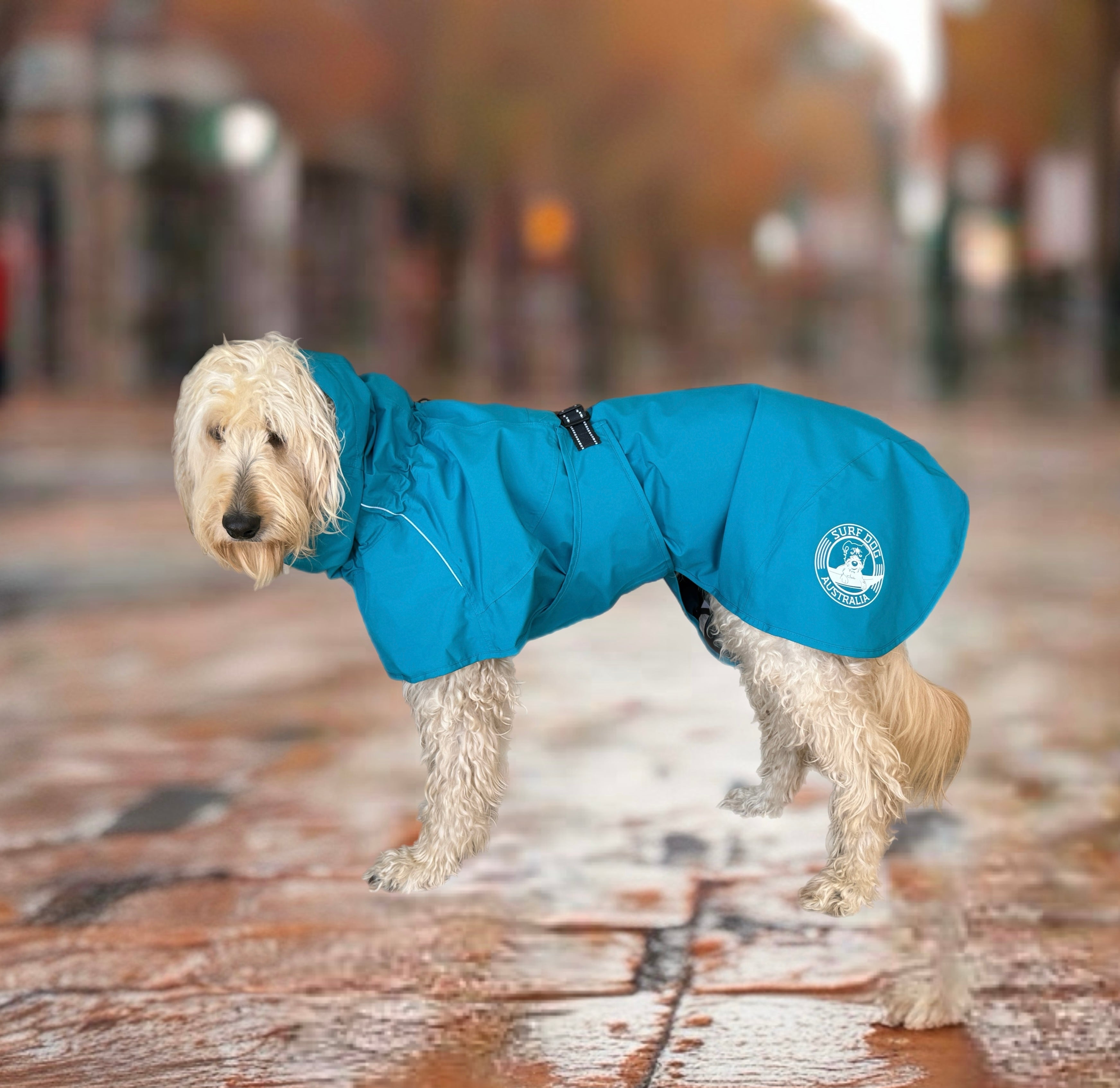 Dog raincoat