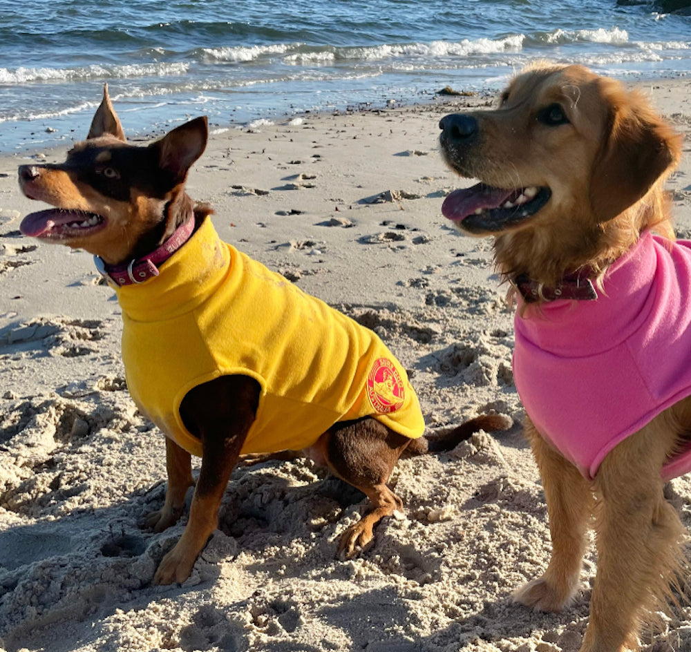 Dog Jumpers and Coats
