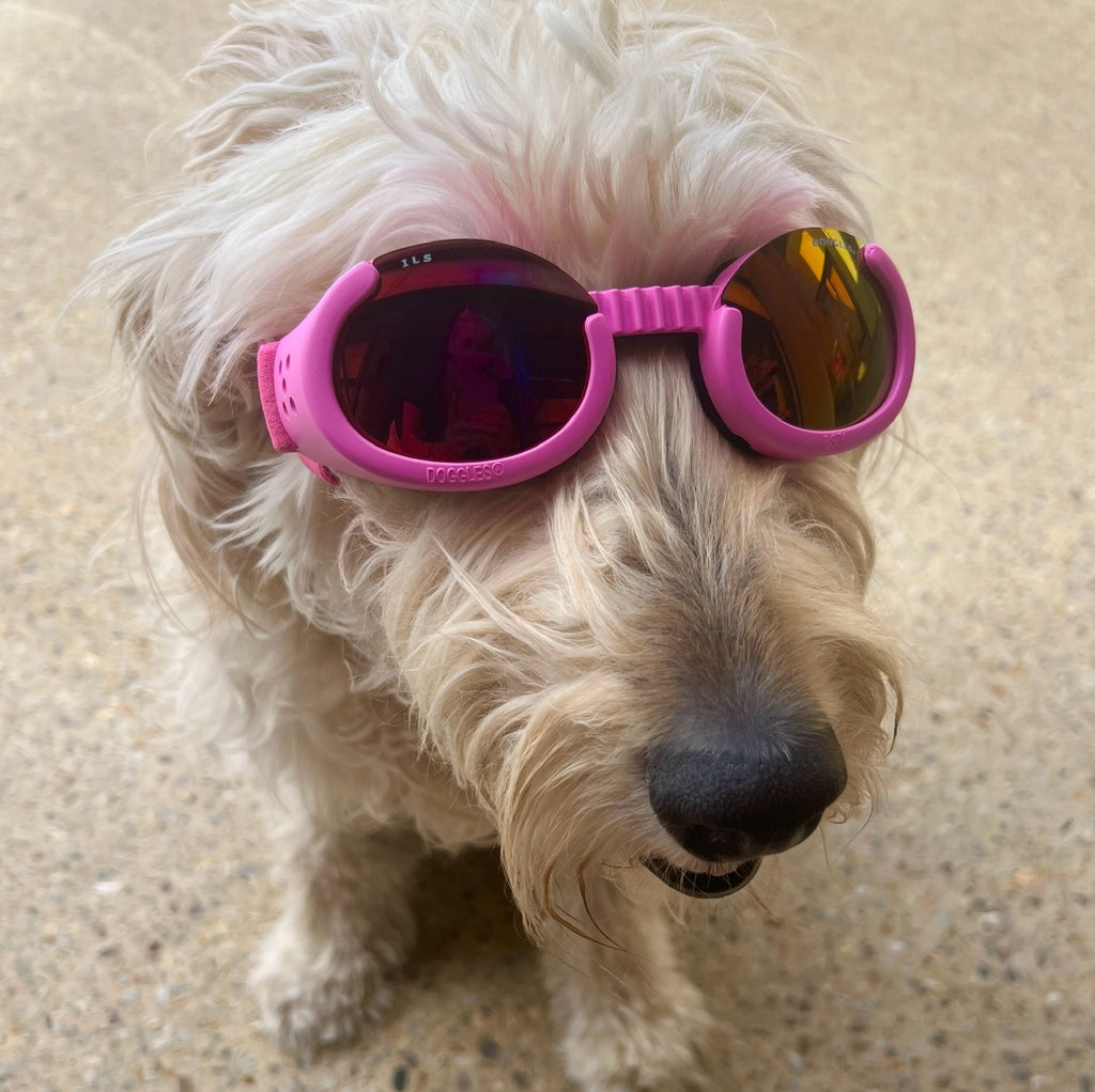 Doggles Sunglasses