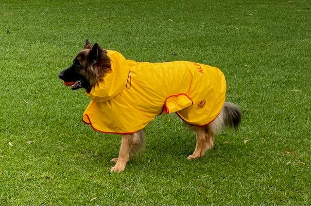Free Walk Raincoats Lightweight for Australian conditons Surfdog Australia