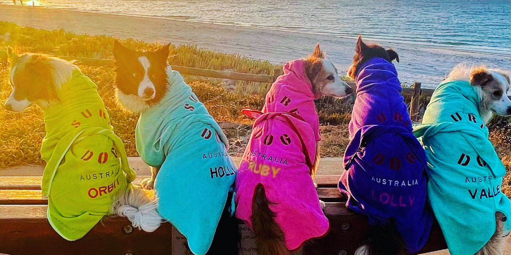 Fog drying coats