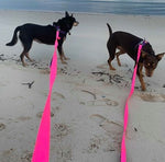 long dog leash