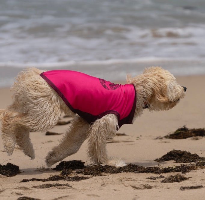 Dog Rashie Vest - UV50+ Sun Protection for Dogs | Surfdog Australia