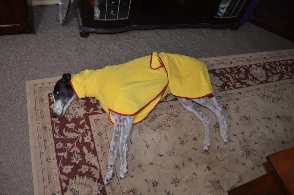 SurfDog Australia Surfdog Dog Drying Coats - Dog Drying Coats Dog Drying Coats