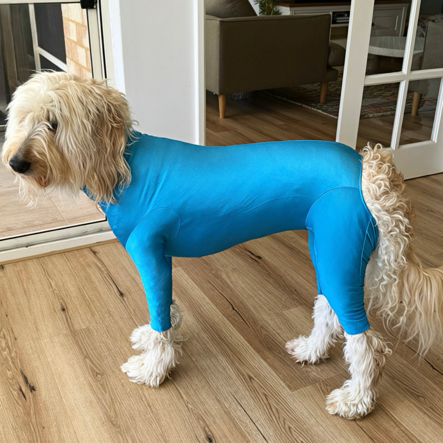 Dog Body Suit, lightweight, post surgery recovery Surfdog Australia