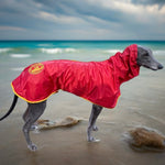 Raincoats for Dogs Lightweight Easy Walking, Comfort - multiple sizeS Surfdog Australia