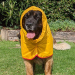 XXL free Walk Dog Raincoat