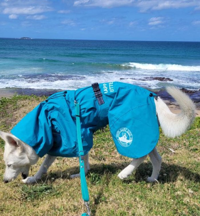 Surfdog Australia Clothing Your Dogs' Raincoat