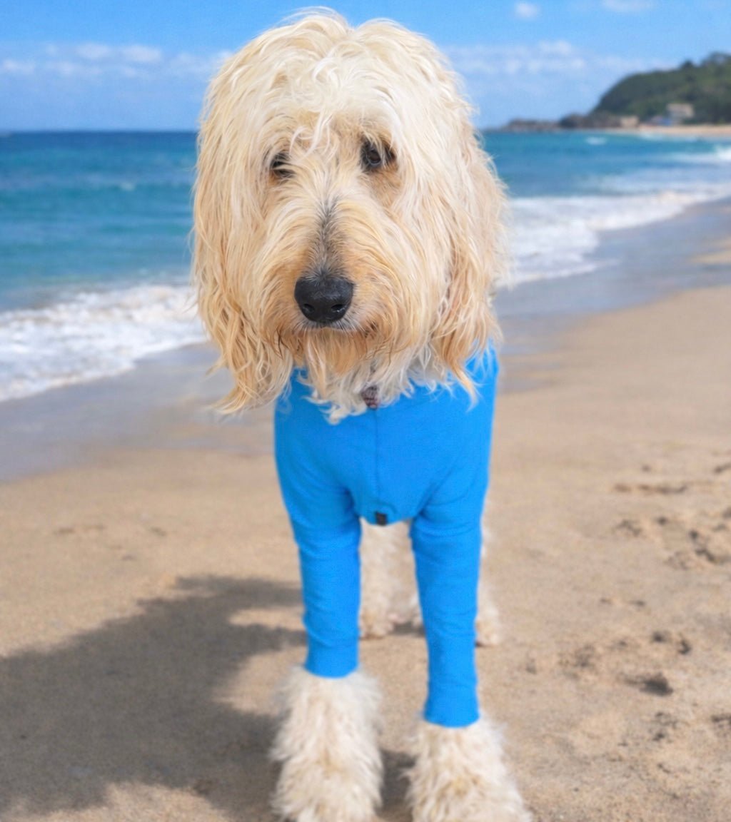 Superfit Dog Body Suit – UV & Allergy Protection for Dogs Surfdog Australia