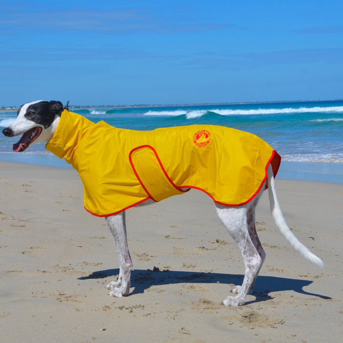 Free Walk Raincoats Lightweight for Australian conditons Surfdog Australia 