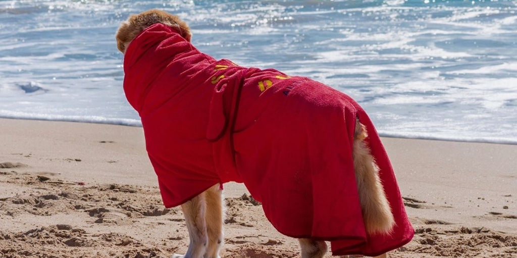 Dog drying coats