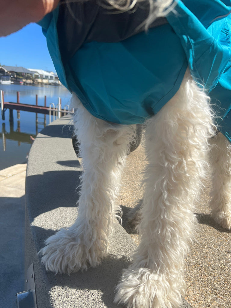 Surfdog Australia Your Dog Raincoat