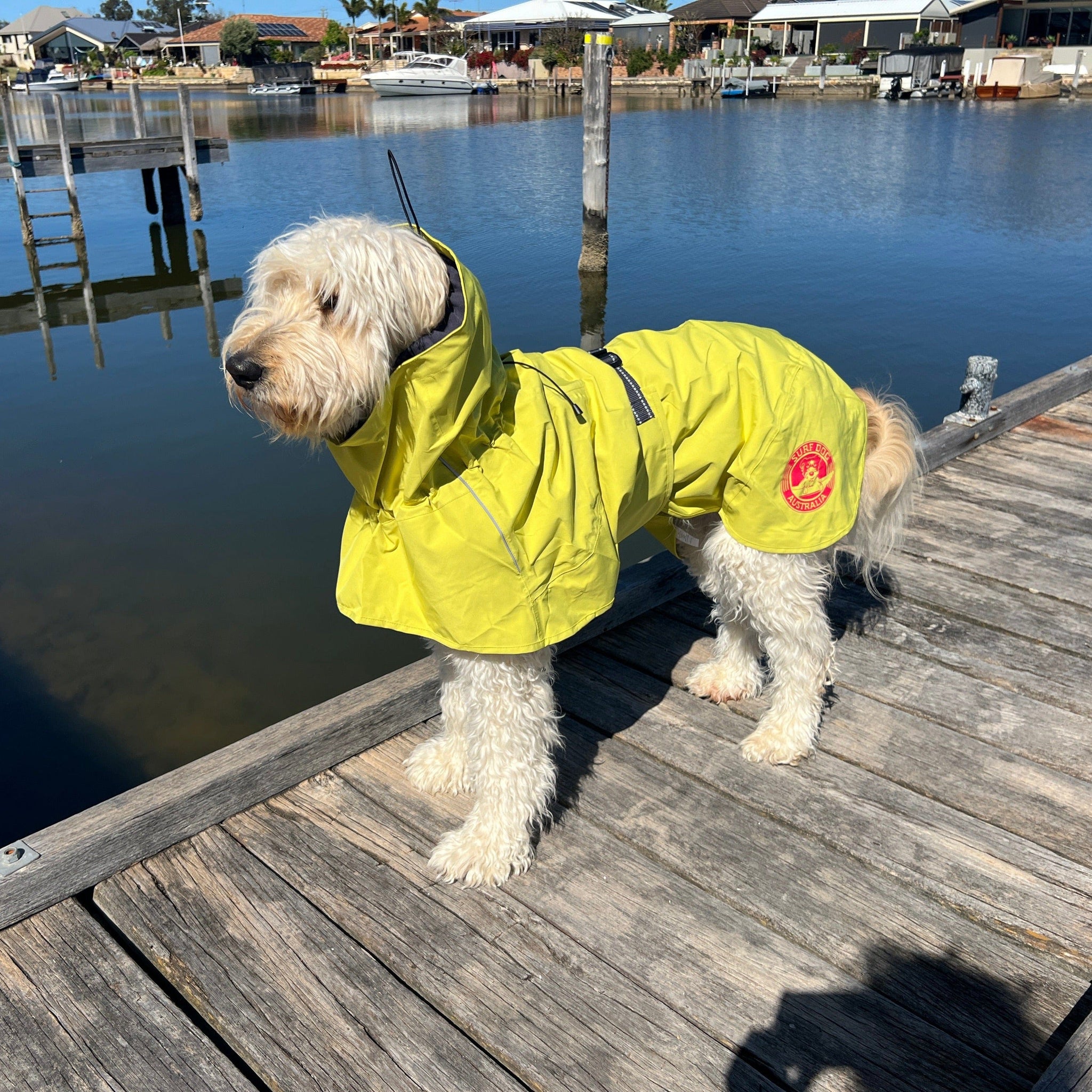 Dog windbreaker outlet