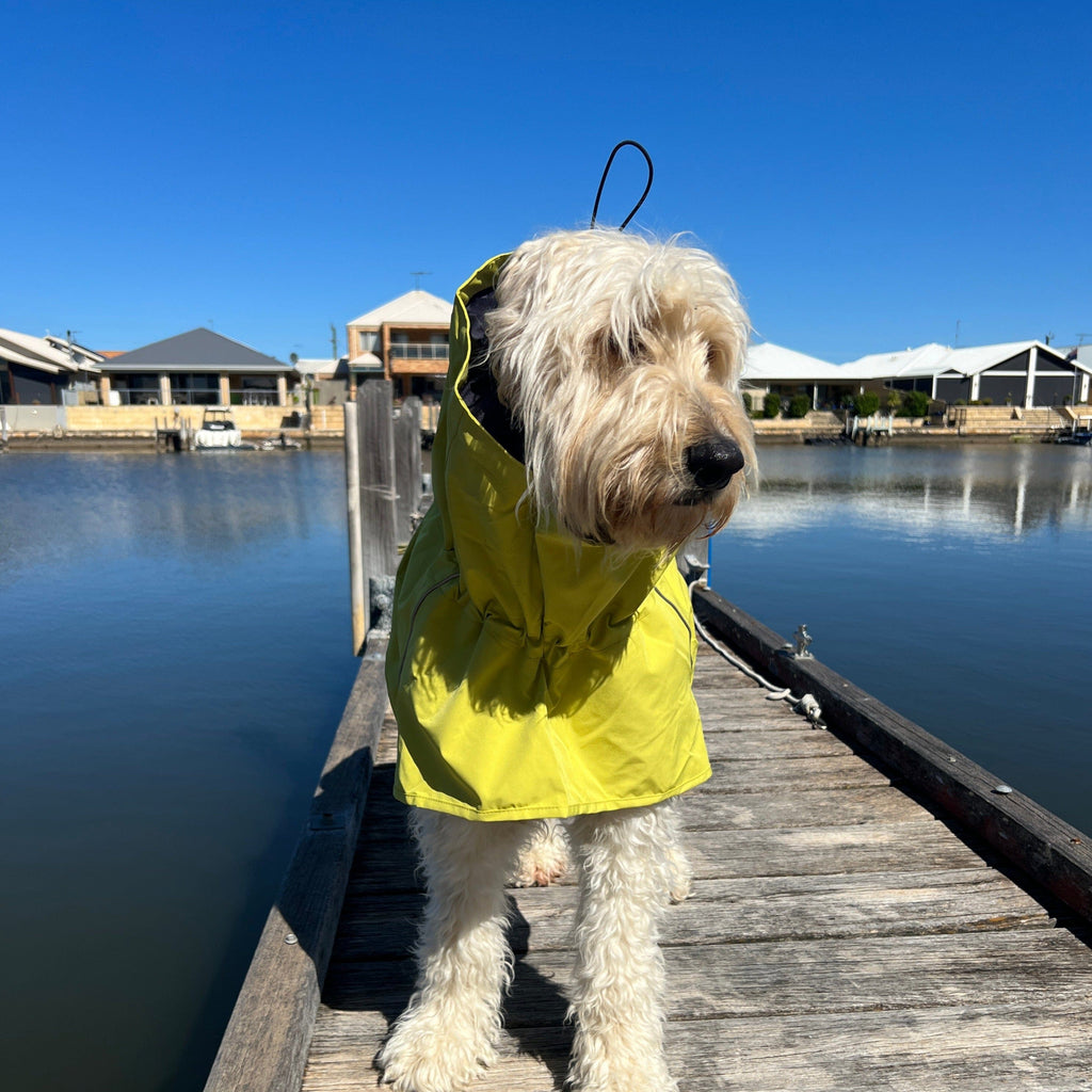 Surfdog Australia Your Dog Raincoat