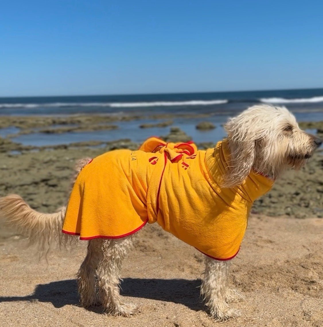 Dog Drying Coat – Ultra - Absorbent Quick - Dry Microfibre Robe for Small to XXL Dogs Surfdog Australia