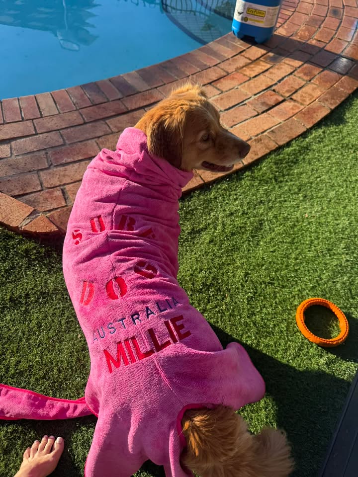 Dog Drying Coats - premium quality, quick drying. Best Drying coat for dogs of all sizes Surfdog Australia