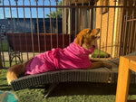 Dog Drying Coats - premium quality, quick drying. Best Drying coat for dogs of all sizes Surfdog Australia
