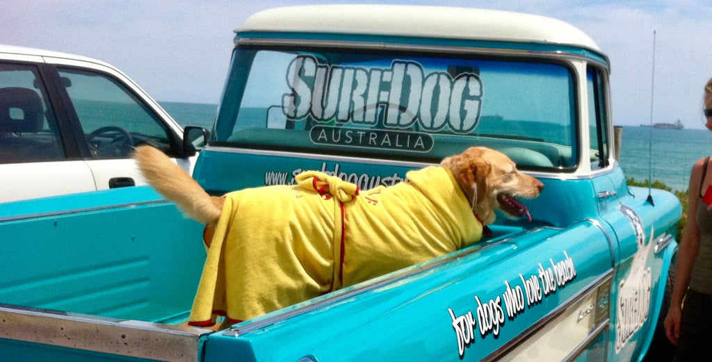 Dog drying coats