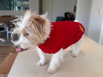 Dog Polar Fleece Jumpers Surfdog Australia