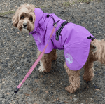 Premium lightweight dog raincoat for Australian conditions. Surfdog Australia