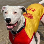 Surf Dog Australia Shirts Dog Rashies
