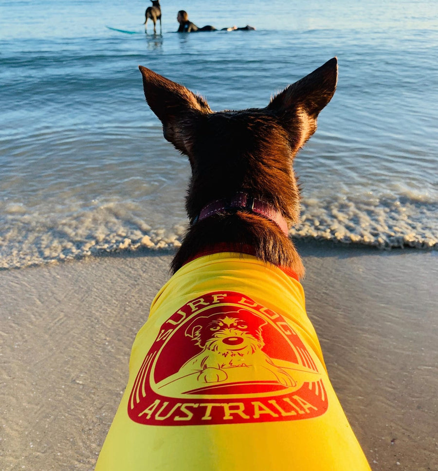 Dog Rashies by Surfdog Australia - UV protection shirts for dogs