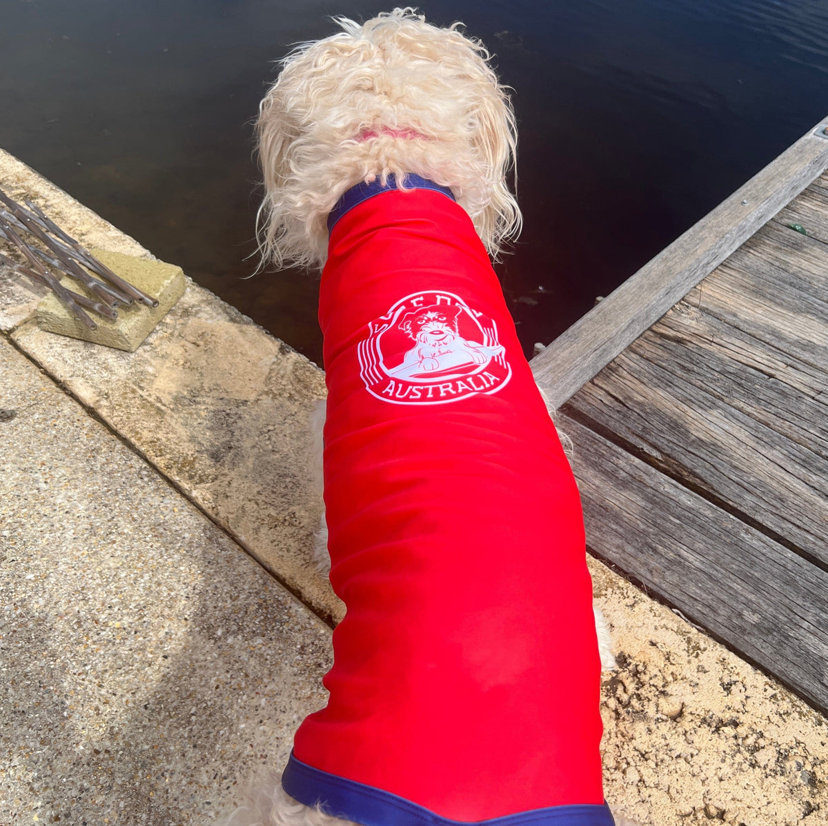Surf Dog Australia Shirts Dog Rashies