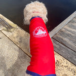 Surf Dog Australia Shirts Dog Rashies