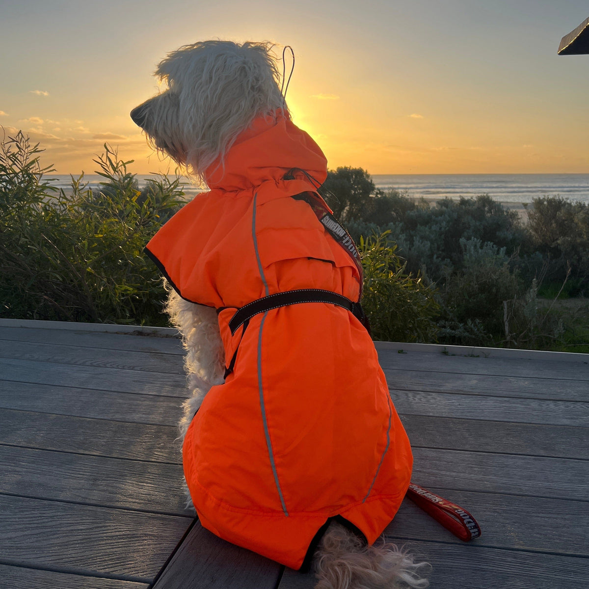 Surfdog Australia Hi Vis Coat - The Glow