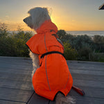 Surfdog Australia Hi Vis Coat - The Glow