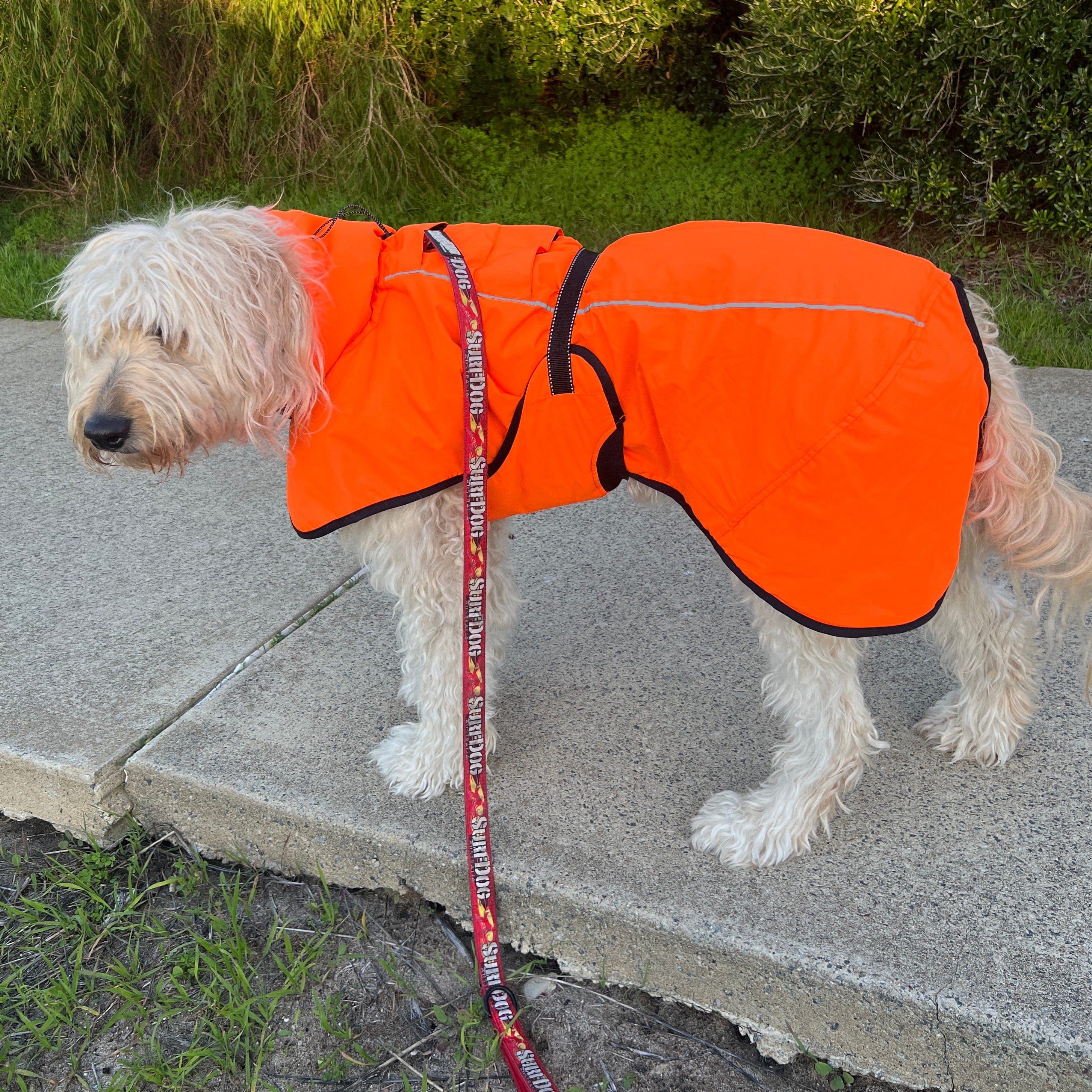 Dog Coats and Raincoats Surfdog Australia