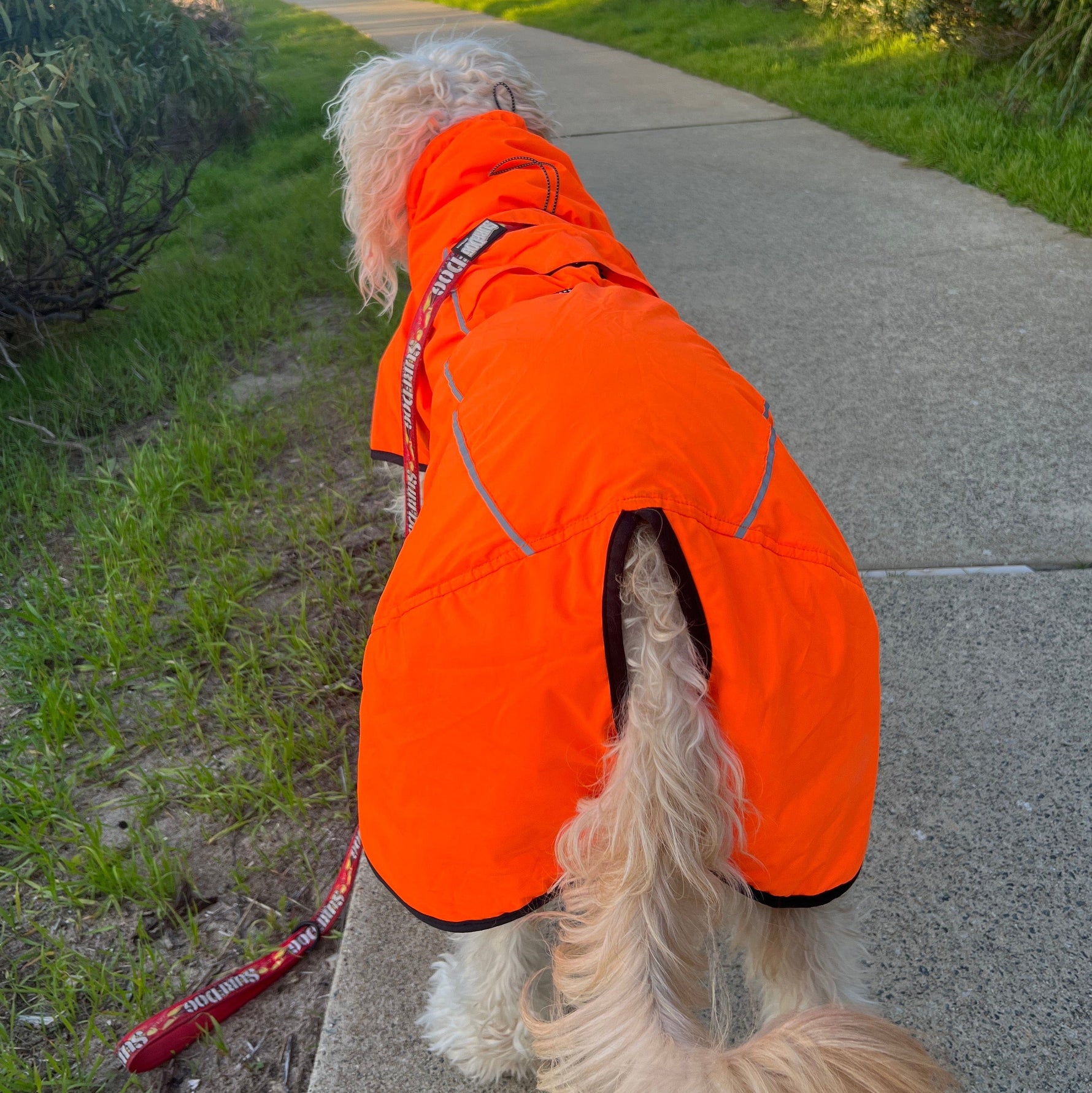 Surfdog Australia Coats for dogs Hi Vis Coat - The Glow